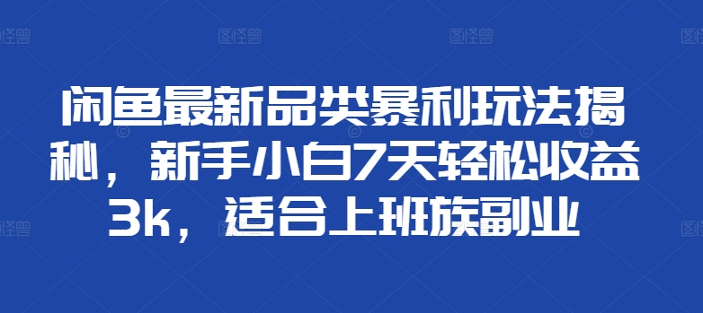 闲鱼最新品类暴利玩法揭秘，新手小白7天轻松赚3000+，适合上班族副业-翌晨科技网