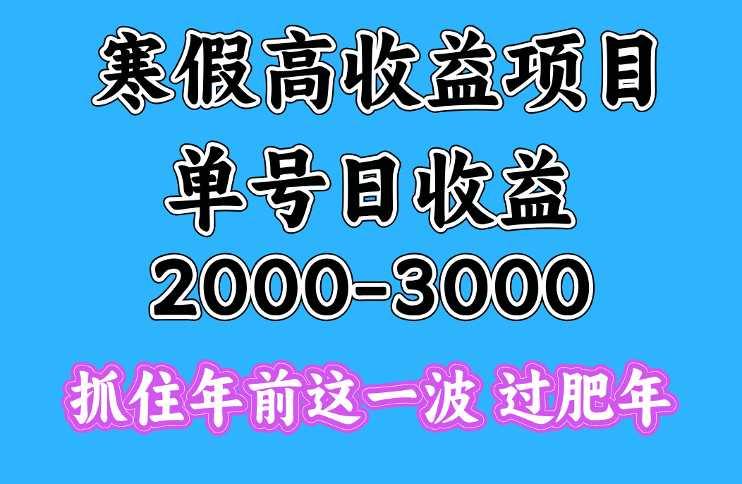 寒假期间一天收益2000-3000+，抓住年前这一波-翌晨科技网