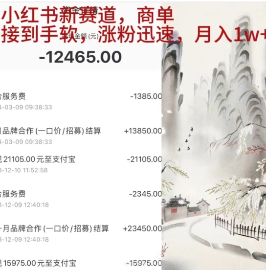 小红书新赛道，商单接到手软，涨粉迅速，一个月1w+-翌晨科技网