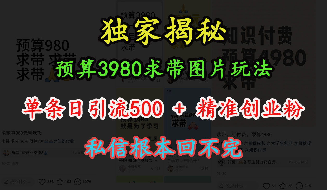 “小红书”预算3980求带 图片玩法，单条日引流500+精准创业粉，私信根本回不完-翌晨科技网