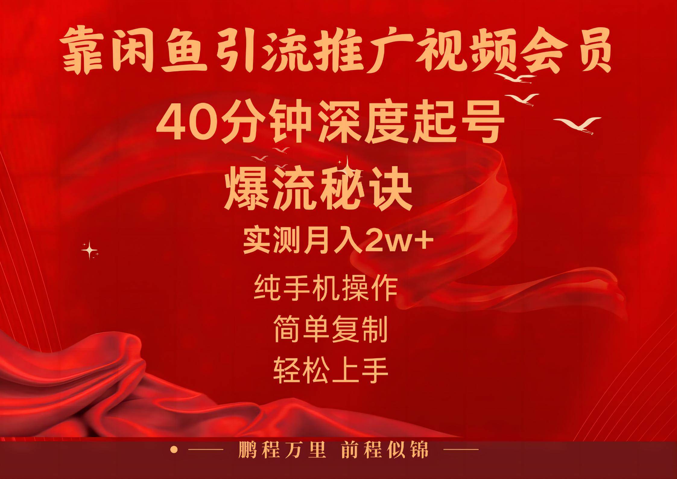 闲鱼暴力引流推广视频会员，能做到日入2W+，操作简单-翌晨科技网