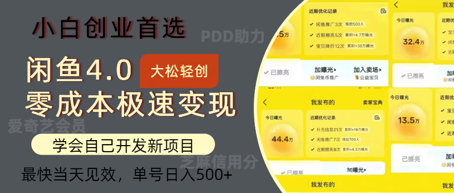 闲鱼0成本极速变现项目，多种变现方式，单号日入500+最新玩法-翌晨科技网