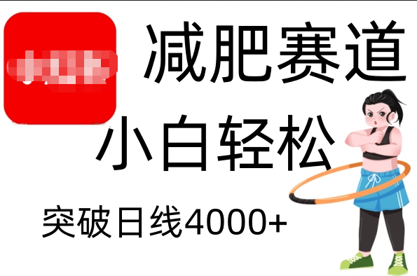 小红书减肥赛道，小白轻松日利润4000+-翌晨科技网