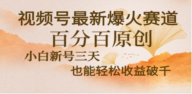 视频号独家玩法，老年养生赛道，无脑搬运爆款视频，日入2000+-翌晨科技网