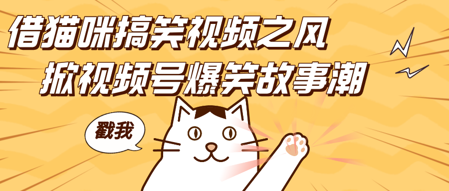 借猫咪搞笑视频之风，掀视频号爆笑故事潮，轻松日赚四位数，开启无门槛赚钱新体验！-翌晨科技网