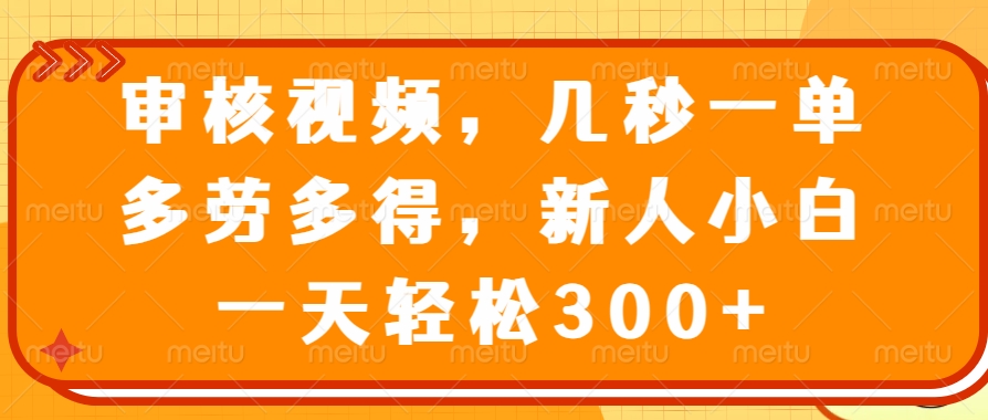 审核视频项目，几秒一单，多劳多得，新人小白一天轻松300+-翌晨科技网