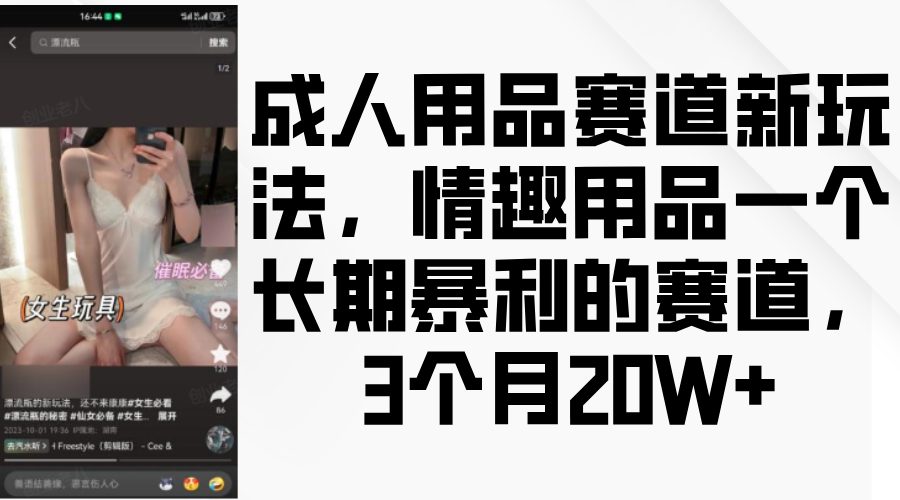 情趣用品一个长期暴利的赛道，成人用品赛道新玩法，3个月20W+-翌晨科技网