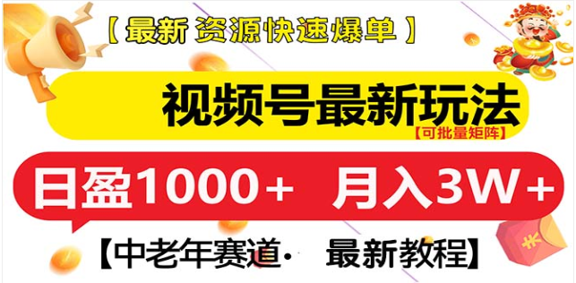 视频号独家玩法，老年养生赛道，无脑搬运爆款视频，日入1000+-翌晨科技网