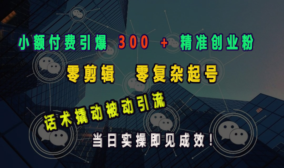 小额付费引爆 300 + 精准创业粉，零剪辑、零复杂起号，话术撬动被动引流，当日实操即见成效！-翌晨科技网