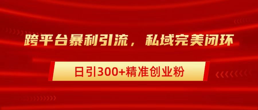 跨平台暴力引流，私域完美闭环，日引300+精准创业粉-翌晨科技网