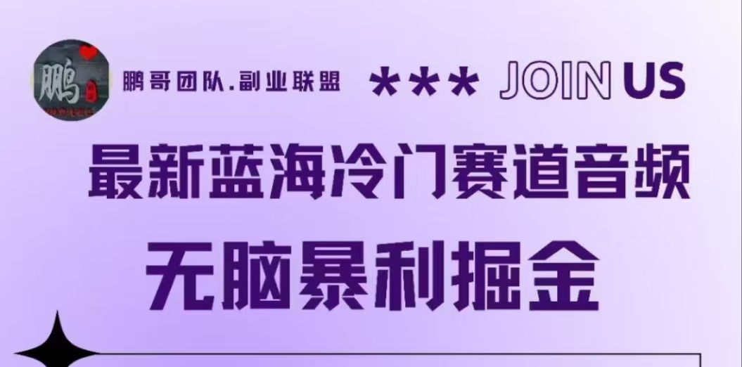 最新蓝海冷门赛道音频，无脑暴利掘金-翌晨科技网