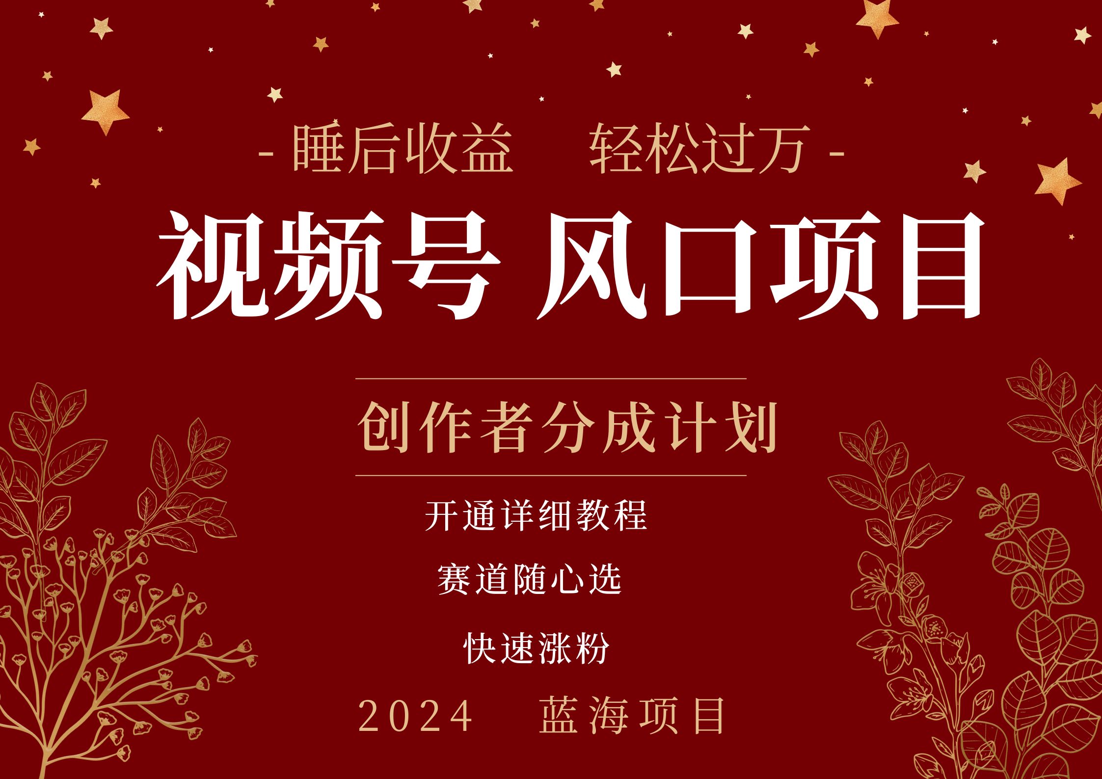 拥有睡眠收益的微信视频号大风口项目，轻松月入过万+，多赛道选择，可矩阵，玩法简单轻松上手-翌晨科技网