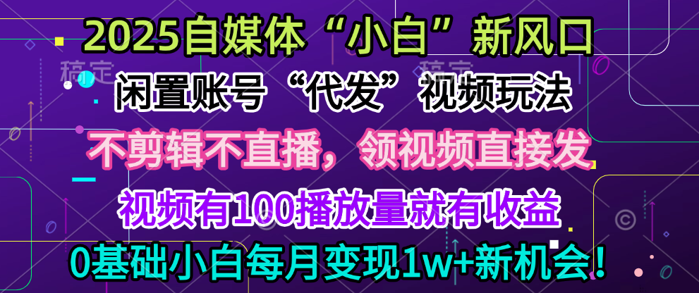 2025每月躺赚5w+新机会，闲置视频账号一键代发玩法，0粉不实名不剪辑，领了视频直接发，0基础小白也能日入300+-翌晨科技网