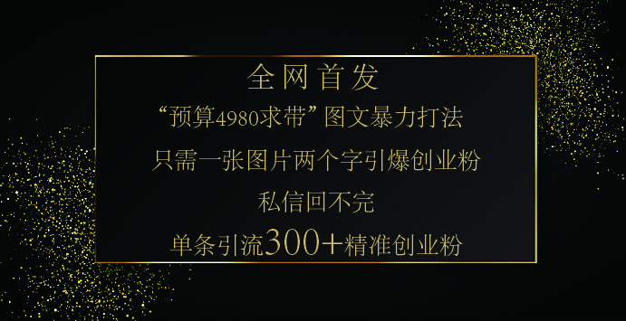 小红书，“预算 4980 带我飞” 的神奇图片引流法，堪称涨粉核武器！只需一张图，就能单条笔记凭借此方法，轻松引流 300 + 精准创业粉！-翌晨科技网