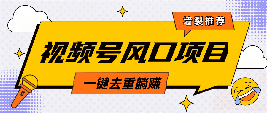 视频号风口蓝海项目，中老年人的流量密码，简单无脑，一键去重，轻松月入过万-翌晨科技网