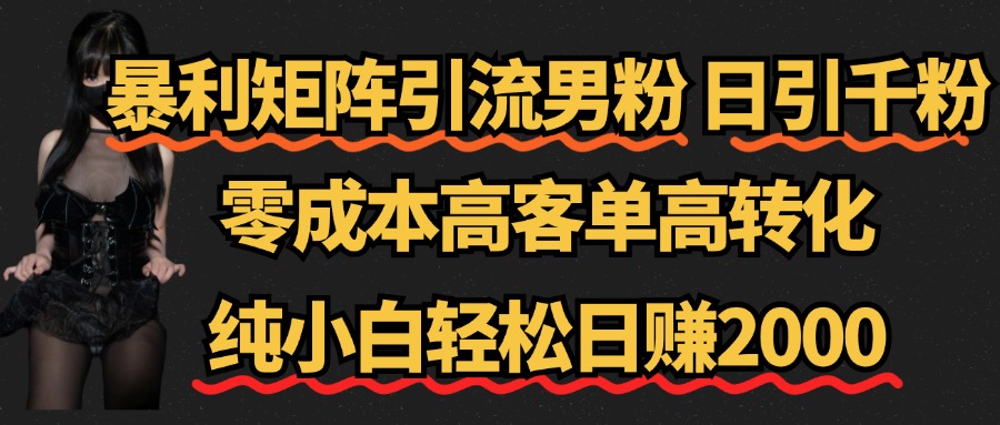暴利矩阵引流男粉（日引千粉），零成本高客单高转化，纯小白轻松日赚2000+-翌晨科技网