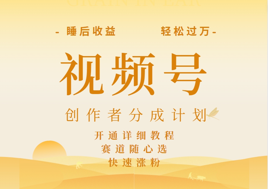 详解视频号创作者分成计划，暴力起号，可同步多平台，实现睡后收入2W+，看懂即可操作！-翌晨科技网