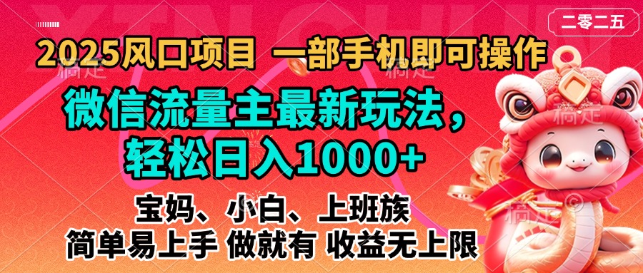 2025蓝海风口项目，微信流量主最新玩法，轻松日入1000+，简单易上手，做就有 收益无上限-翌晨科技网