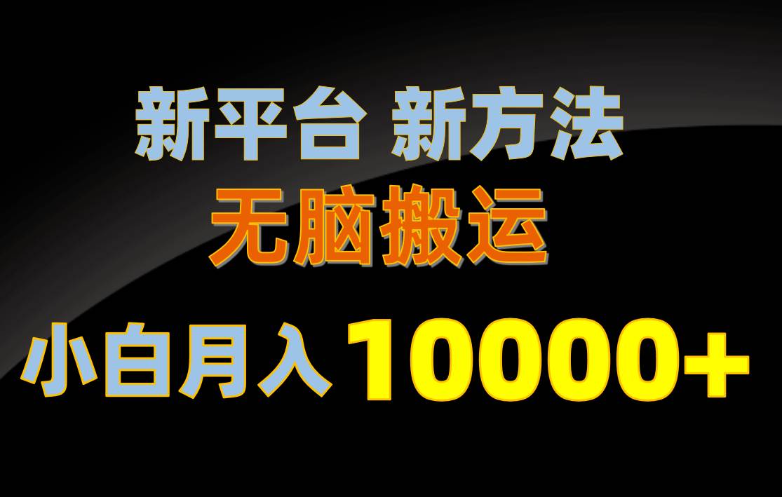 新平台新方法，无脑搬运，月赚10000+，小白轻松上手不动脑-翌晨科技网