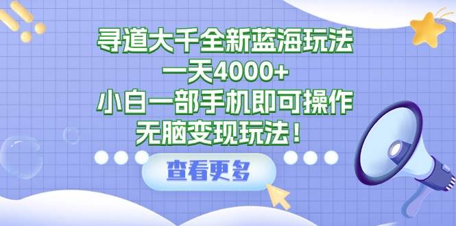 寻道大千全新蓝海玩法，一天4000+，小白一部手机即可操作，无脑变现玩法！-翌晨科技网