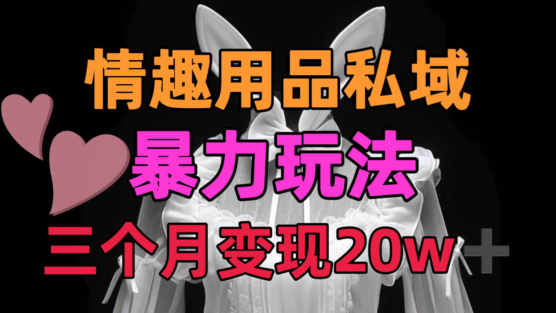 情趣用品私域，25年最新暴力玩法，三个月变现20w➕-翌晨科技网