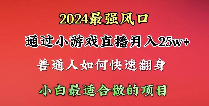 2024年最强风口，通过小游戏直播月入25w+单日收益5000+小白最适合做的项目-翌晨科技网