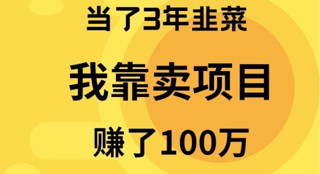当了3年韭菜，我靠卖项目赚了100万-翌晨科技网