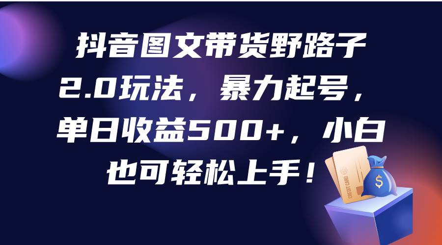 抖音图文带货野路子2.0玩法，暴力起号，单日收益500+，小白也可轻松上手！-翌晨科技网