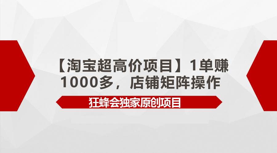 【淘宝超高价项目】1单赚1000多，店铺矩阵操作-翌晨科技网