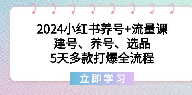 2024小红书养号+流量课：建号、养号、选品，5天多款打爆全流程-翌晨科技网