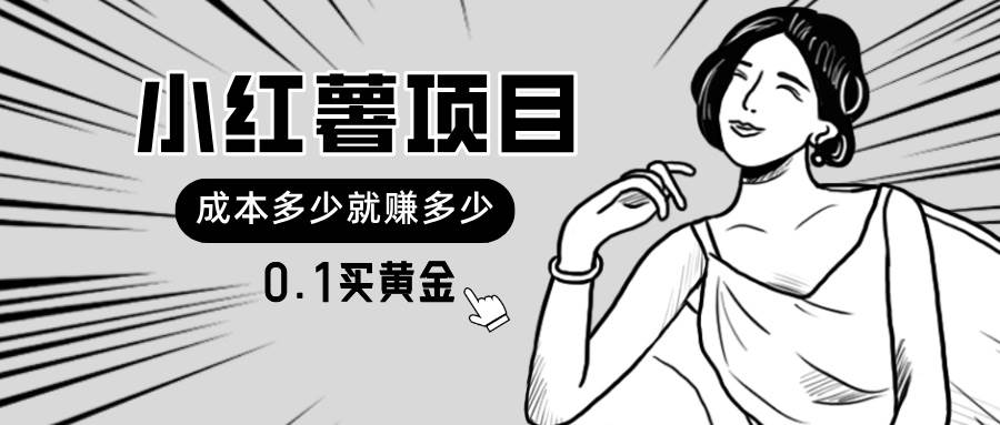 小红薯暴力项目，0.1买黄金。操作简单，日入无上限，可无限扩大。-翌晨科技网