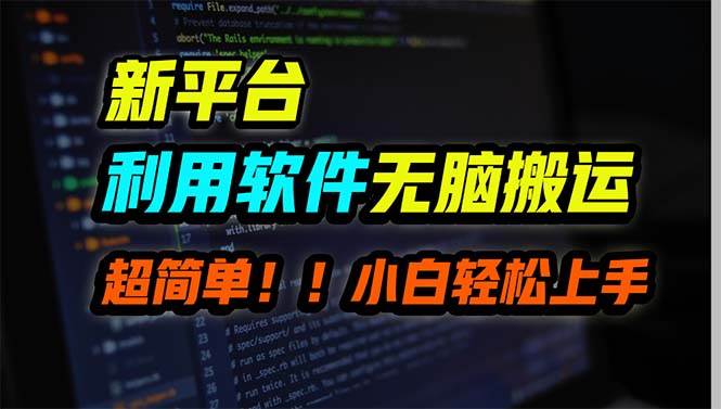 新平台用软件无脑搬运，月赚10000+，小白也能轻松上手-翌晨科技网