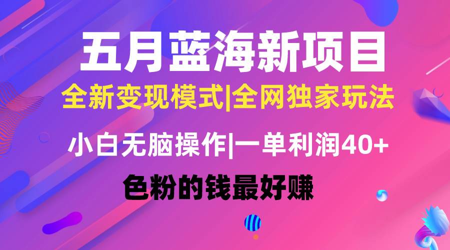 五月蓝海项目全新玩法，小白无脑操作，一天几分钟，矩阵操作，月入4万+-翌晨科技网