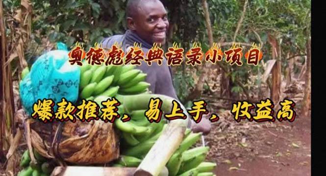 奥德彪经典语录小项目，爆款推荐，易上手，收益高-翌晨科技网