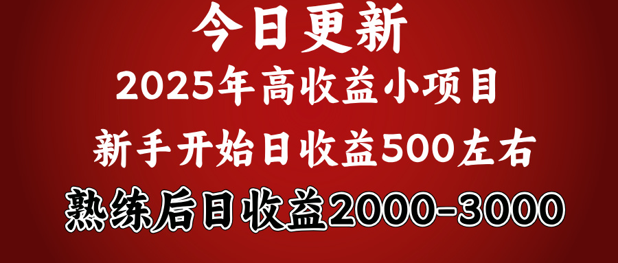 好项目一眼就能看出来，日收益1000，长久可做，2025拼的就是我比你勤奋-翌晨科技网