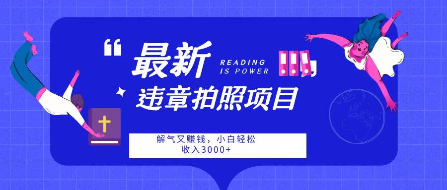最新违章拍照项目，解气又赚钱，随手一拍，轻松收入3000-翌晨科技网