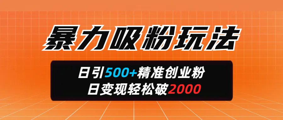 暴力吸粉玩法，日引500+精准创业粉，日变现轻松破2000-翌晨科技网
