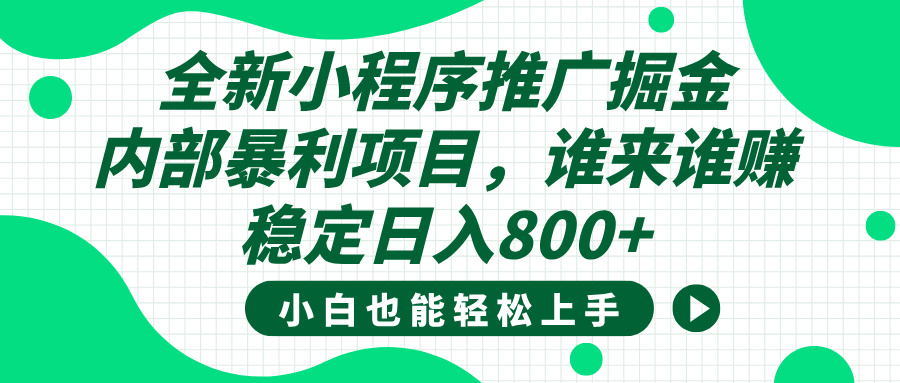 全新小程序推广掘金，内部暴利项目，小白轻松上手，稳定日入800+-翌晨科技网