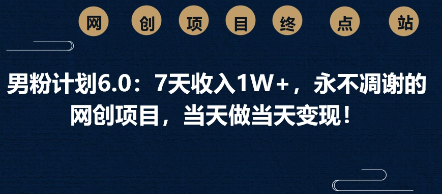 男粉计划6.0：7天收入1W+，永不凋谢的网创项目，当天做当天变现！-翌晨科技网