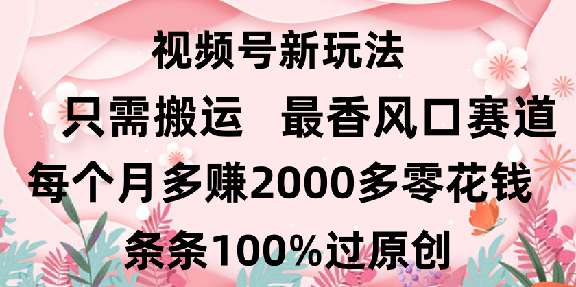 日入2000+，条条100%过原创，视频号最香风口赛道，小白轻松上手-翌晨科技网