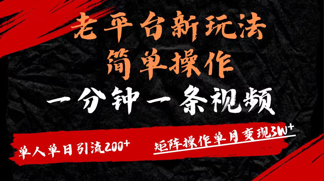老平台，新玩法，简单操作，一分钟一条视频，单人单人引流200+矩阵操作，单月变现3W-翌晨科技网