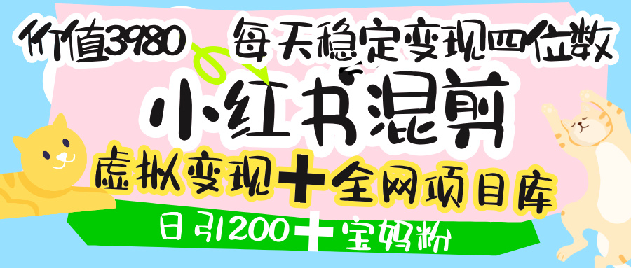 价值3980的小红书混剪， 虚拟变现 ＋全网项目库 ， 日引200+宝妈创业粉，每天稳定四位数变现-翌晨科技网