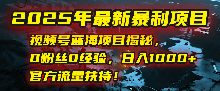 2025年最新暴利项目：视频号蓝海项目揭秘，0粉丝0经验，日入1000+，官方流量扶持！-翌晨科技网