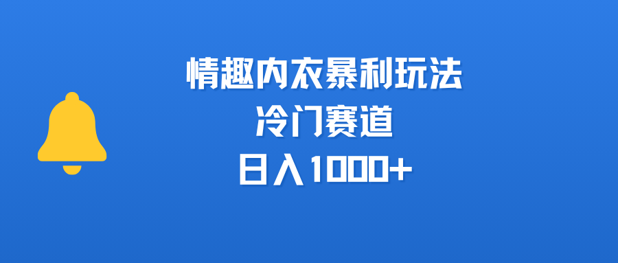 情趣内衣暴利玩法，冷门赛道，日入1000+-翌晨科技网