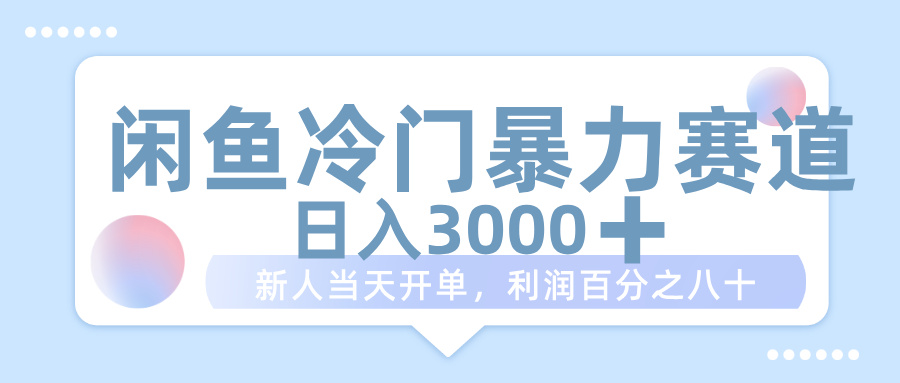 闲鱼冷门暴力赛道，一单 80%利润，新人轻松日入 1000+-翌晨科技网