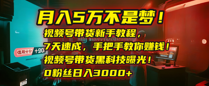月入5万不是梦！视频号带货新手教程，7天速成，手把手教你赚钱！视频号带货黑科技曝光！0粉丝日入3000+-翌晨科技网