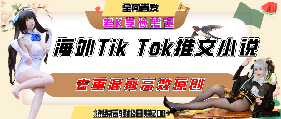 海外tiktok小说推文暴力项目，高停留率，高转化率，上手后一天搞顿饭钱不是问题-翌晨科技网