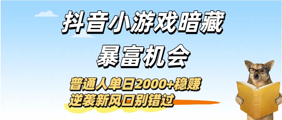 抖音小游戏暗藏暴富机会！普通人单日2000+稳赚，逆袭新风口别错过-翌晨科技网