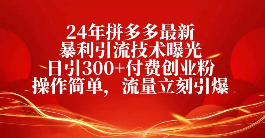 25年拼多多最新暴利引流技术曝光、日引300+付费创业粉操作简单，流量立刻引爆-翌晨科技网