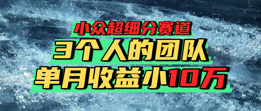 小众超细分赛道，一年百万利润的盘子！-翌晨科技网